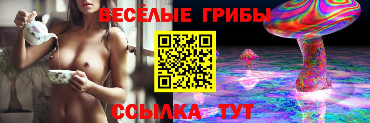 Евпатория  Псилоцибиновые грибы GOLDEN TEACHER  Псилоцибиновые грибы ЛСД  Вход с VPN 